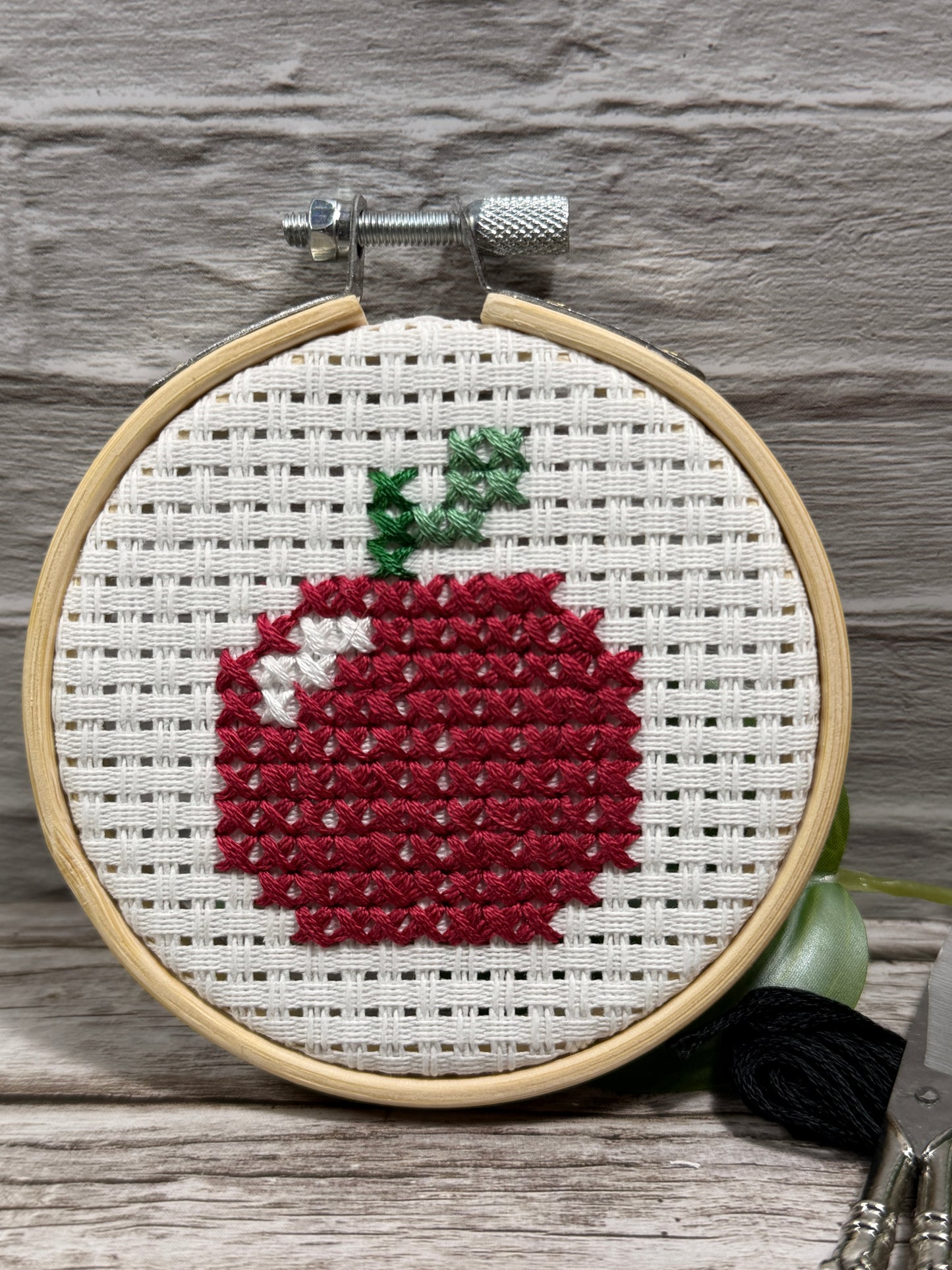 Beginner Cross Stitch Kit