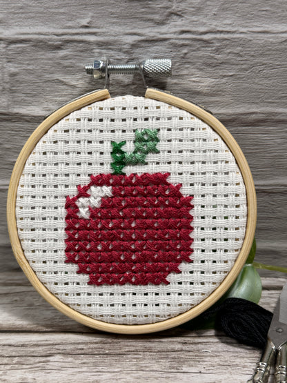 Beginner Cross Stitch Kit (First Stitcher)